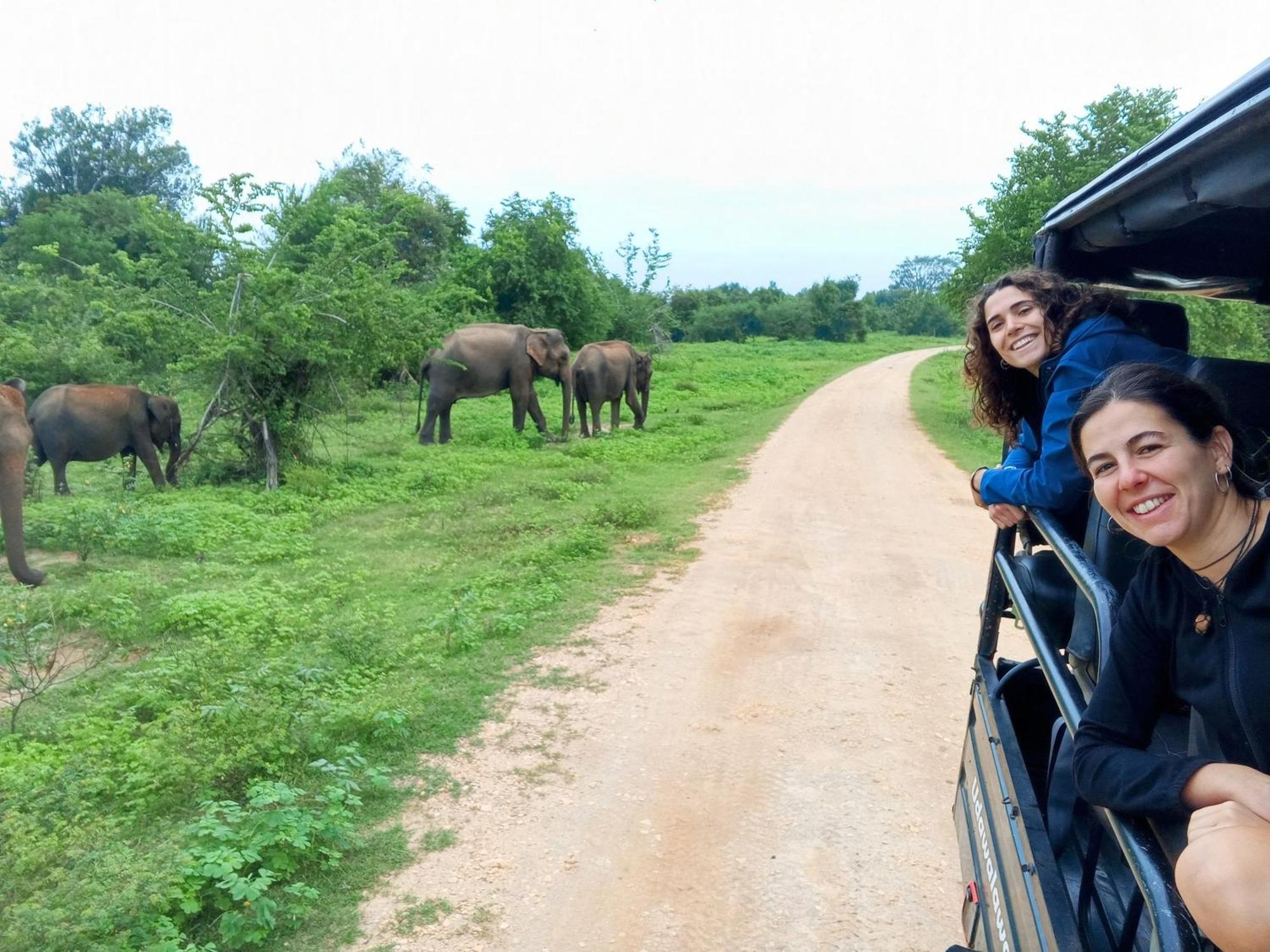 Elite Safari Resort Udawalawe Zewnętrze zdjęcie